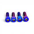 Brake Lever Mount Titanium Bolts