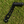 Tuttio Shiftlock